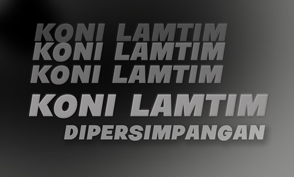 Terkait Kemelut Musorkablub KONI Lampung Timur, Ini Penjelasan KONI Provinsi Lampung